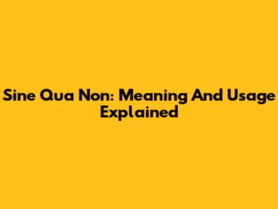 Sine Qua Non: Meaning And Usage Explained