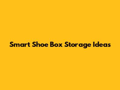 Smart Shoe Box Storage Ideas