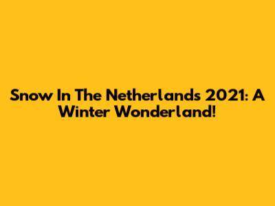 Snow In The Netherlands 2021: A Winter Wonderland!