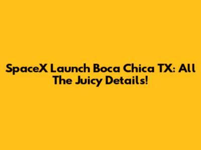 SpaceX Launch Boca Chica TX: All The Juicy Details!