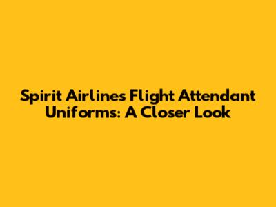 Spirit Airlines Flight Attendant Uniforms: A Closer Look