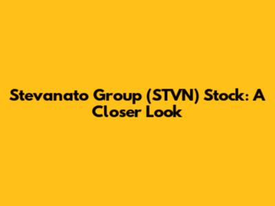 Stevanato Group (STVN) Stock: A Closer Look