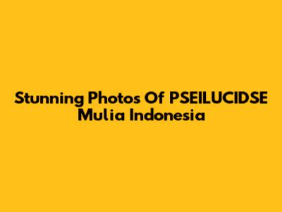 Stunning Photos Of PSEILUCIDSE Mulia Indonesia