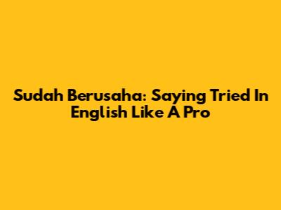 Sudah Berusaha: Saying 'Tried' In English Like A Pro