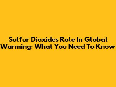 Sulfur Dioxide's Role In Global Warming: What You Need To Know