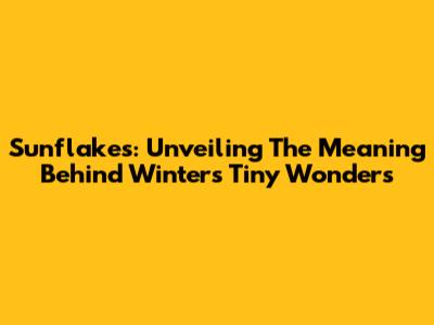 Sunflakes: Unveiling The Meaning Behind Winter's Tiny Wonders