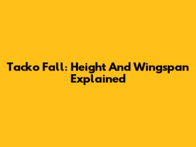 Tacko Fall: Height And Wingspan Explained