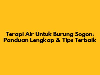 Terapi Air Untuk Burung Sogon: Panduan Lengkap & Tips Terbaik