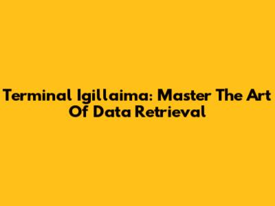 Terminal Igillaima: Master The Art Of Data Retrieval