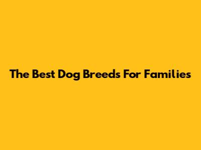 The Best Dog Breeds For Families