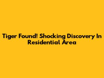 Tiger Found! Shocking Discovery In Residential Area