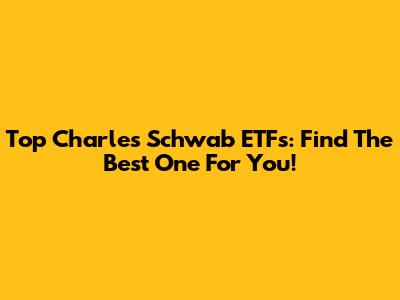 Top Charles Schwab ETFs: Find The Best One For You!