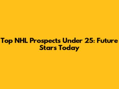 Top NHL Prospects Under 25: Future Stars Today