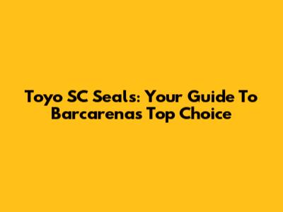 Toyo SC Seals: Your Guide To Barcarena's Top Choice