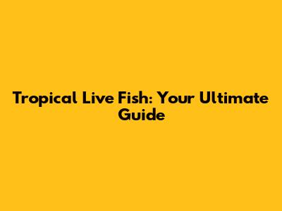 Tropical Live Fish: Your Ultimate Guide