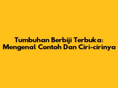 Tumbuhan Berbiji Terbuka: Mengenal Contoh Dan Ciri-cirinya