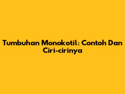 Tumbuhan Monokotil: Contoh Dan Ciri-cirinya