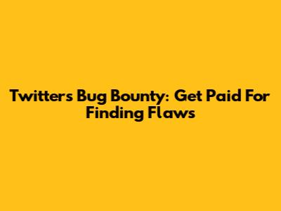 Twitter's Bug Bounty: Get Paid For Finding Flaws