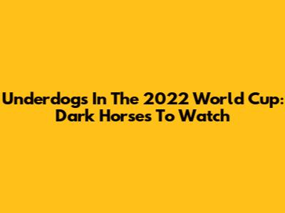Underdogs In The 2022 World Cup: Dark Horses To Watch