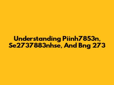 Understanding Piinh7853n, Se2737883nhse, And Bng 273