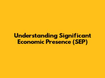 Understanding Significant Economic Presence (SEP)