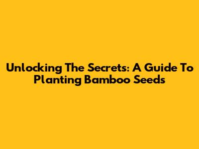 Unlocking The Secrets: A Guide To Planting Bamboo Seeds