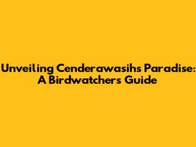 Unveiling Cenderawasih's Paradise: A Birdwatcher's Guide