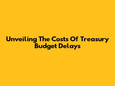 Unveiling The Costs Of Treasury Budget Delays