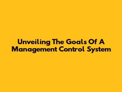 Unveiling The Goals Of A Management Control System