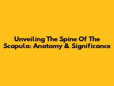 Unveiling The Spine Of The Scapula: Anatomy & Significance