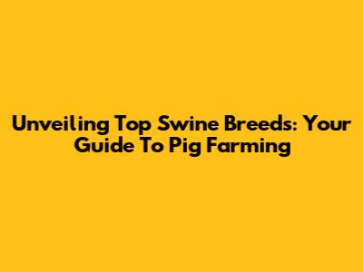 Unveiling Top Swine Breeds: Your Guide To Pig Farming