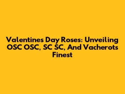 Valentine's Day Roses: Unveiling OSC OSC, SC SC, And Vacherot's Finest