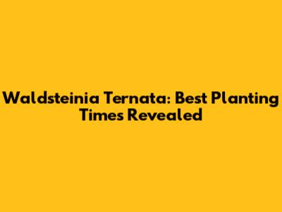 Waldsteinia Ternata: Best Planting Times Revealed