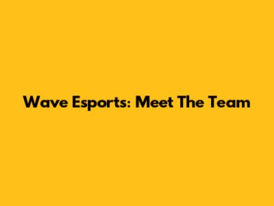 Wave Esports: Meet The Team