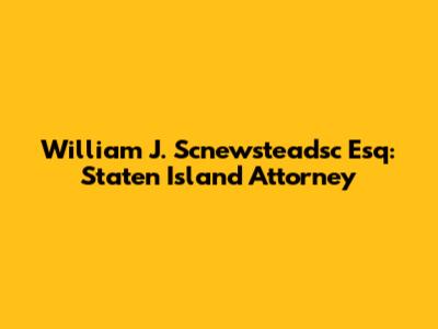 William J. Scnewsteadsc Esq: Staten Island Attorney