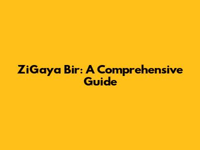 ZiGaya Bir: A Comprehensive Guide