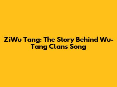 ZiWu Tang: The Story Behind Wu-Tang Clan's Song